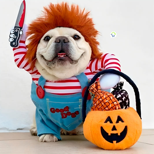 Risas y Terror: Disfraz Chucky para Mascotas